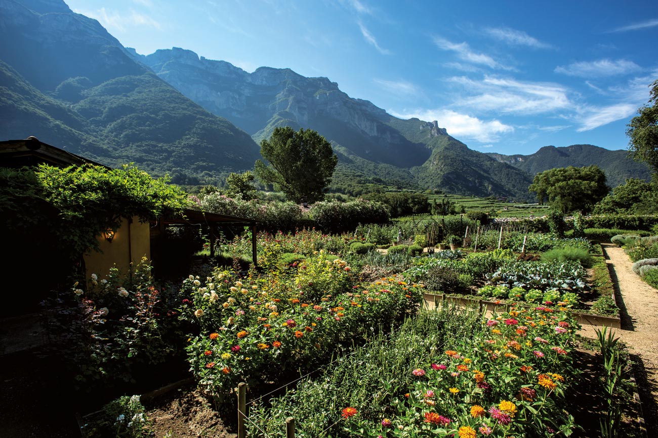 tenuta san leonardo