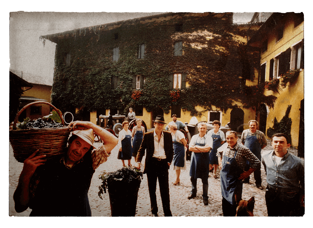 Vendemmia 1986 San Leonardo