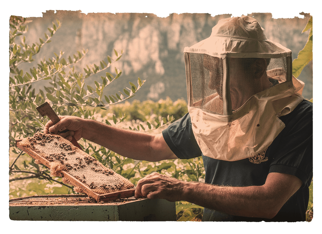 La Tenuta viene certificata Friend of Biodiversity
