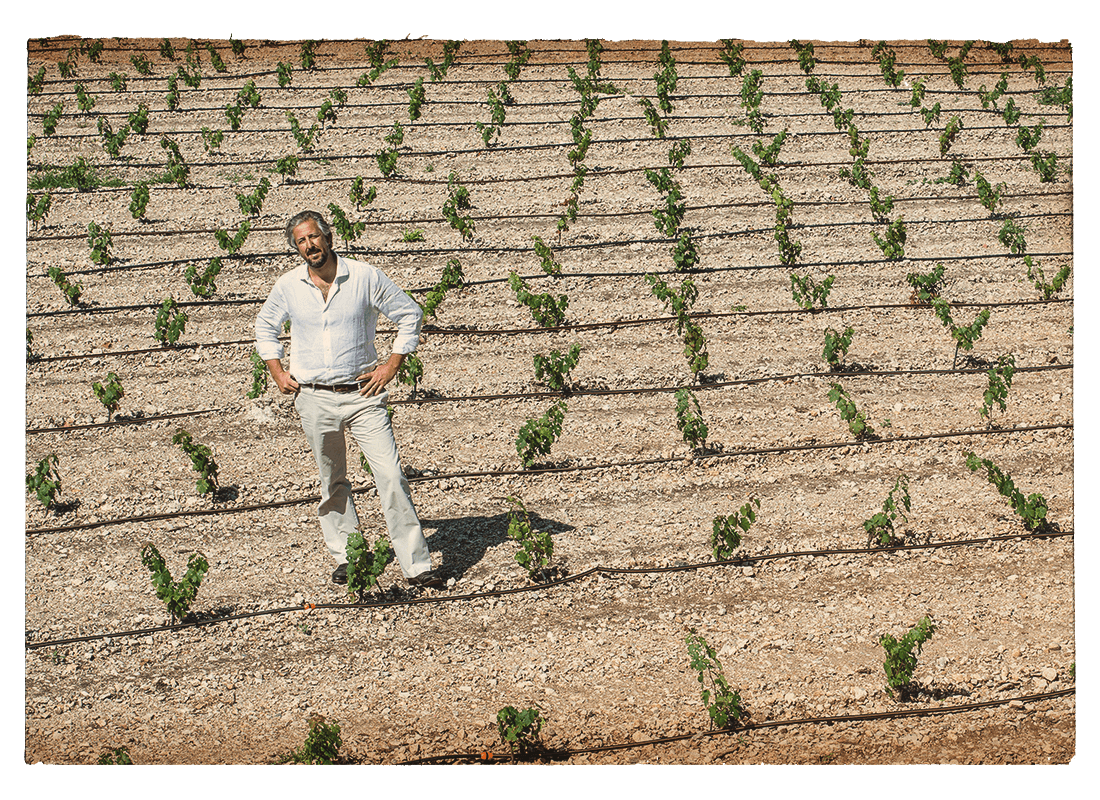 Inizia la realizzazione dei nuovi vigneti